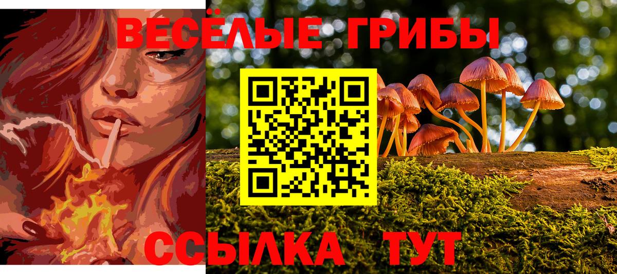 Галлюциногенные грибы Cubensis Сергиев Посад