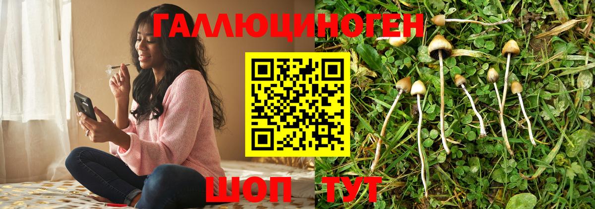 Сергиев Посад  Псилоцибиновые грибы Magic Shrooms  Галлюциногенные грибы Psilocybe  Вход с VPN 